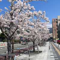 Kofu Castle is a Hidden gems in Japan 🇯🇵 