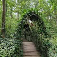 Saalfeld Fairy Grottoes - Germany’s Colorful Underground