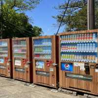 If you visit Tokyo City and wants to experience easy hiking trip, go to Mt. Takao!!