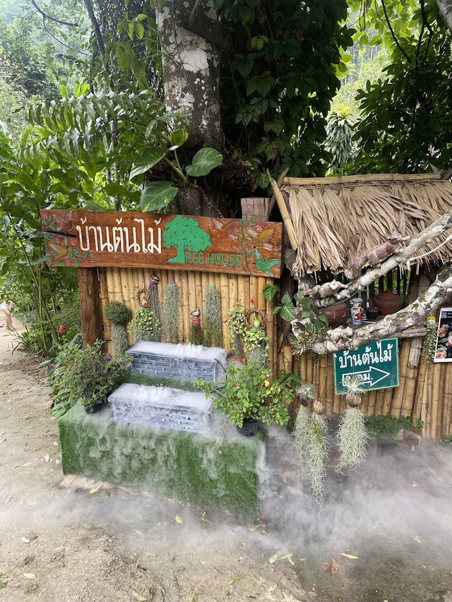 📍บ้านต้นไม้แม่แมะ จ.เชียงใหม่