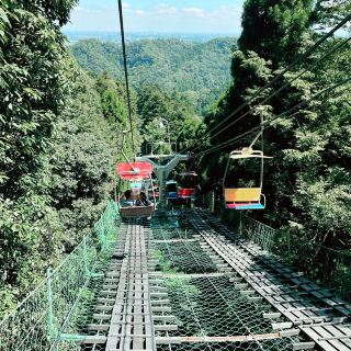 Taking the Cable Car: An Easy Way to Reach Mount Takao