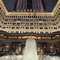 Night Tour in Hong Kong's Central District