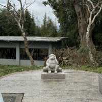 Zhinan Temple ตามหานักสัตว์ 12 ราศี