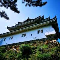 快閃和歌山