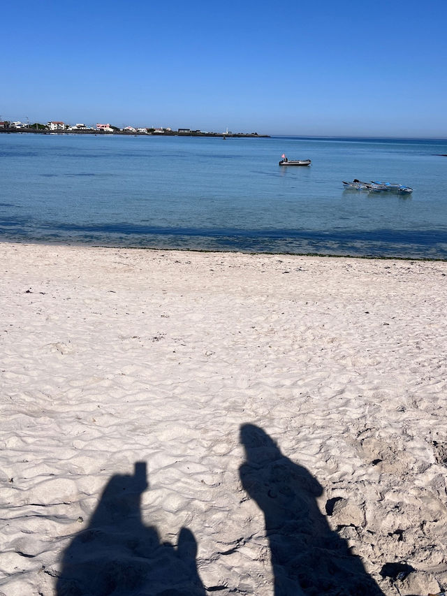 제주 🌴🌴서해의 아침이 바다가 더 맑더라구요~ 
