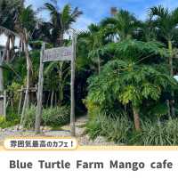 【宮古島】友達に教えたくなるおしゃれカフェ☕️🌺
