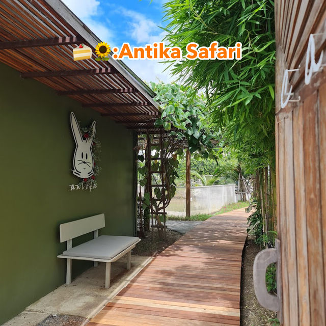 🍰🌻:Antika Safari
