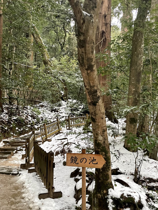 願いを叶える旅：玉作湯神社で心と体を癒すひととき