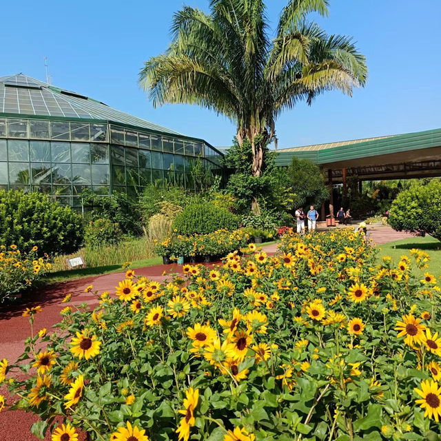 ～國家植物園～綠色探索～