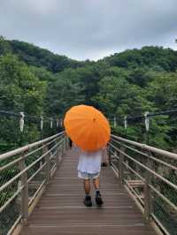 폭포랑 출렁다리 선녀탕까지 볼수 있는곳💚