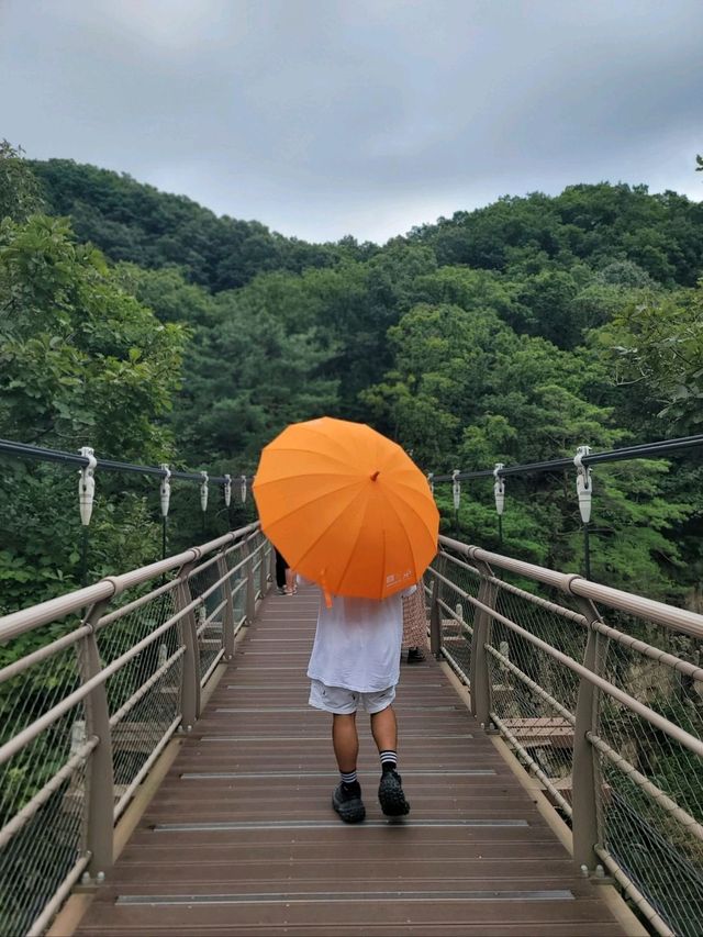 폭포랑 출렁다리 선녀탕까지 볼수 있는곳💚