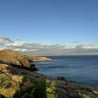 The beautiful island - Maui