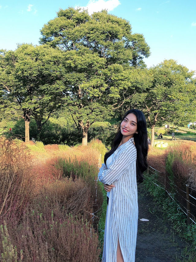 날씨 좋은 요즘 피크닉 가기 좋은 올림픽공원💛