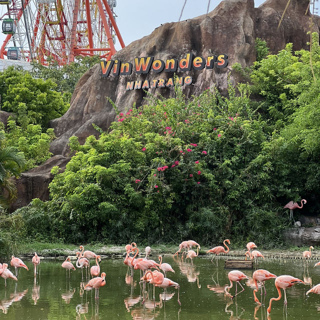 มีครบจบที่เดียว 🎡