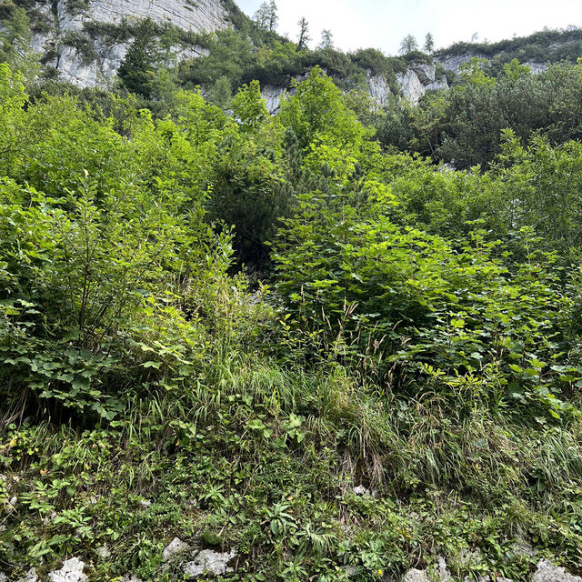 奧地利行山風景