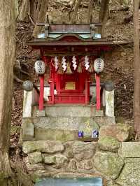 【福岡県】大願叶う奥宮めぐり