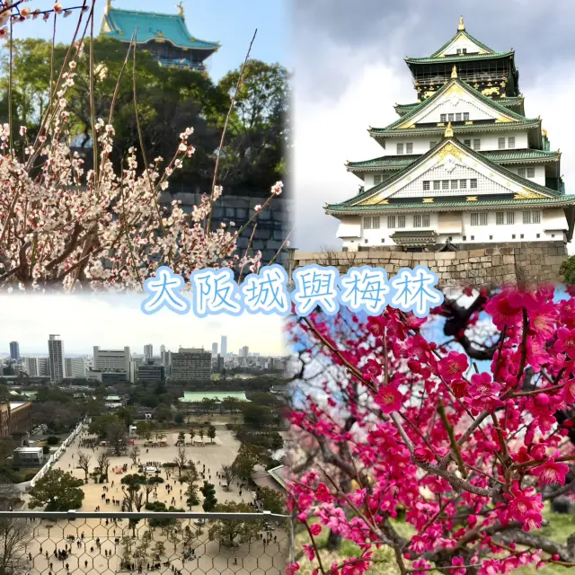 大阪城與梅林-到訪大阪地標,感受春天到來的氣息
