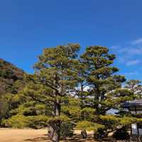 旭山三浦庭園：小橋流水中的日式幽靜 🌸🏞️
