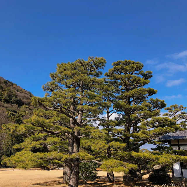 旭山三浦庭園：小橋流水中的日式幽靜 🌸🏞️