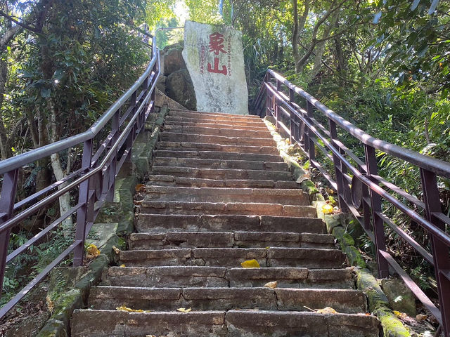 登高望遠象山行 台北美景盡收睛