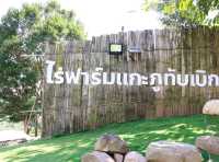 มาเที่ยวหาน้องแกะภูทับเบิก