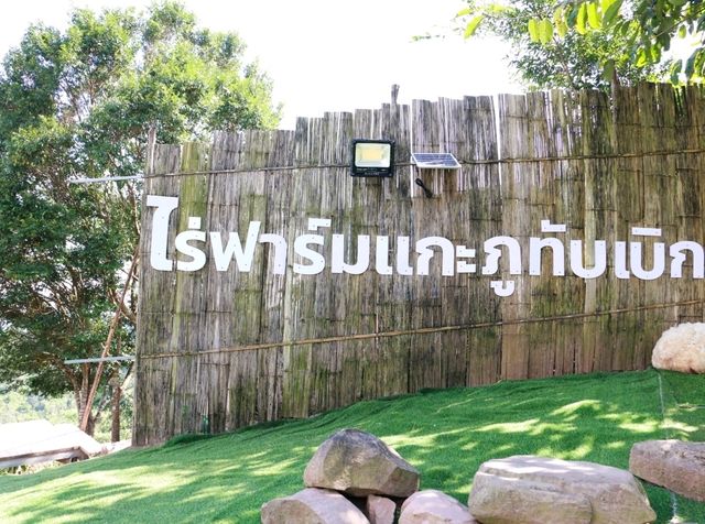 มาเที่ยวหาน้องแกะภูทับเบิก