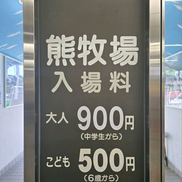 熊出沒注意🐻😱