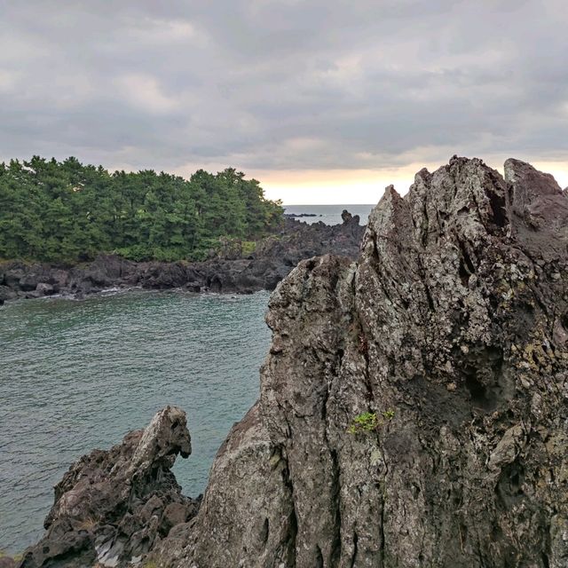 🇰🇷 Jusangjeolli Cliff: Nature's Bold Masterpiece