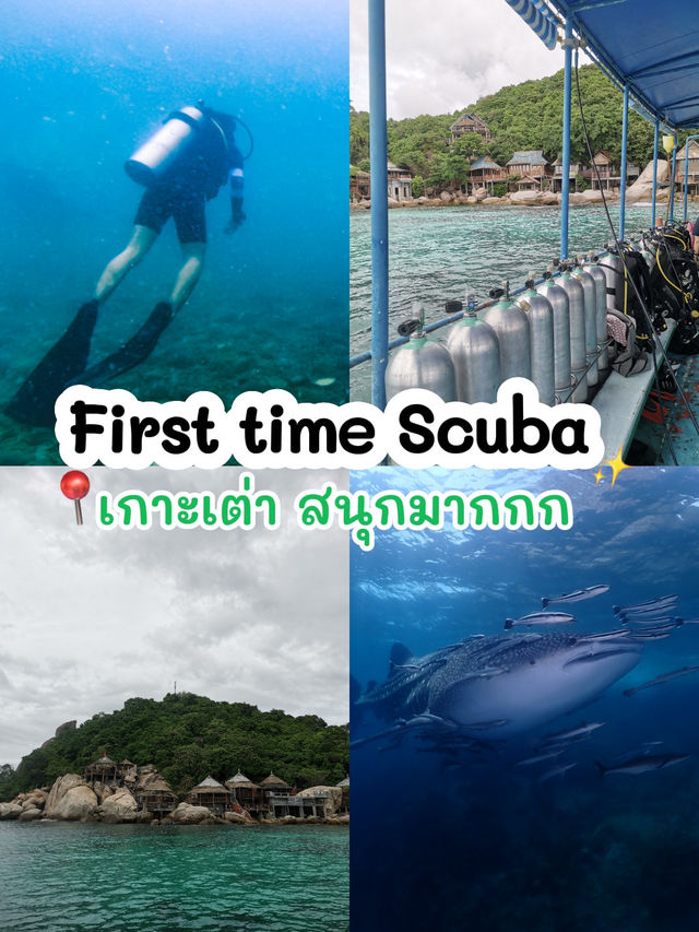 Scuba ครั้งแรกที่เกาะเต่า🏖️🤿