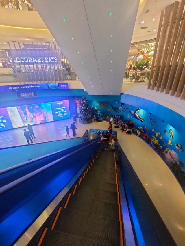 バンコク中心地にあるアクアリウム🐠