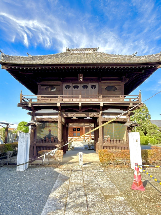 【埼玉県】立派な楼門と本堂