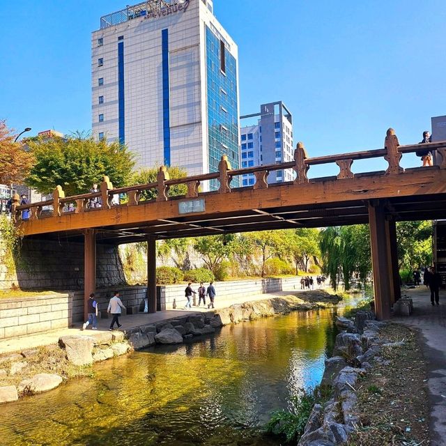 청계천에서 즐기는 야외데이트