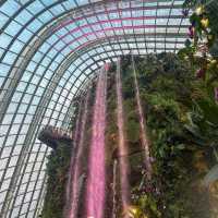 Garden of Eden?!