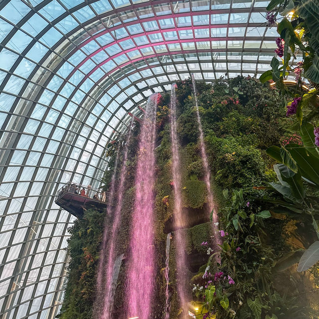 Garden of Eden?!
