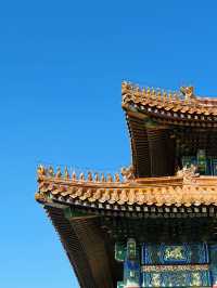 Forbidden City's beauty in autumn