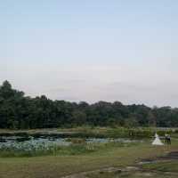 Jungle space village - คาเฟ่เขียวขจี จ.นครพนม