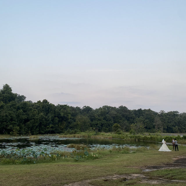 Jungle space village - คาเฟ่เขียวขจี จ.นครพนม