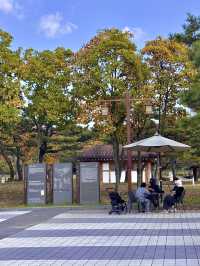 야외 잔디밭부터 시작되는 전시장 익산 국립박물관💚