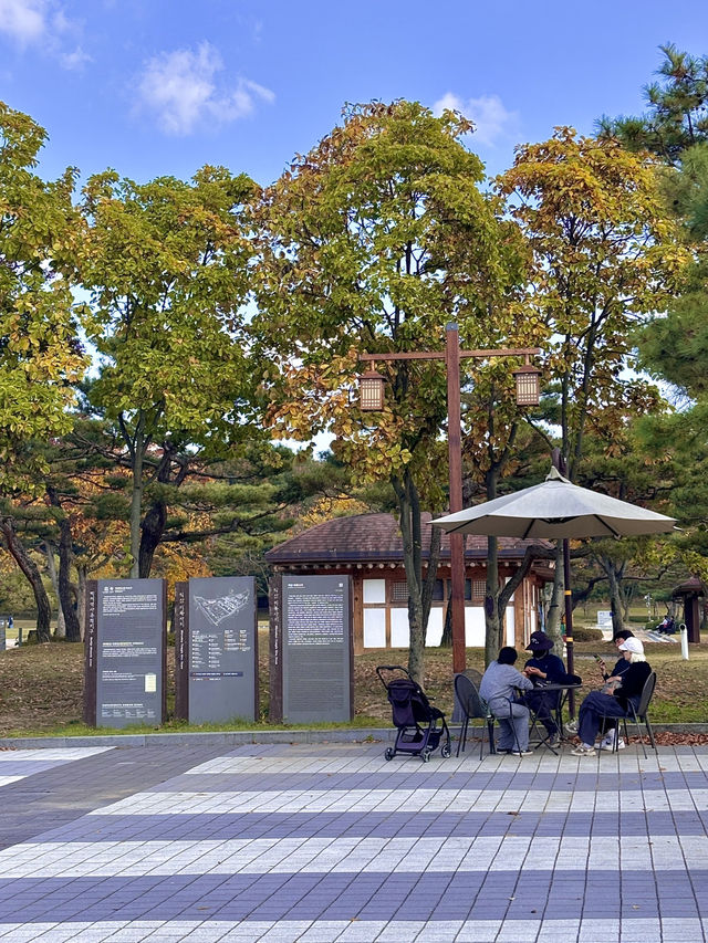 야외 잔디밭부터 시작되는 전시장 익산 국립박물관💚