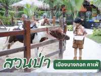 “สวนป่า เมืองบางกอก คาเฟ่” 🌳🌳