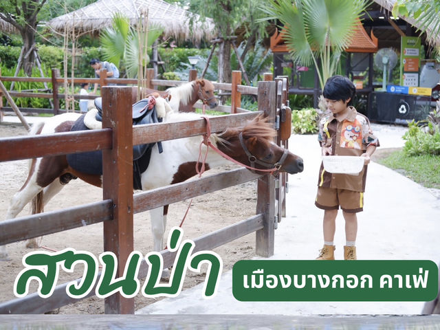 “สวนป่า เมืองบางกอก คาเฟ่” 🌳🌳