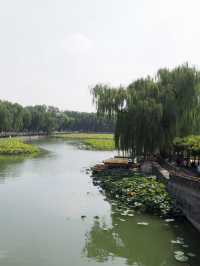 Discovering Serenity at Beihai: A Green Oasis in Beijing’s Heart! 