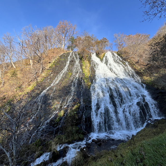 시레토코