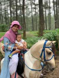 Orchid castle bandung