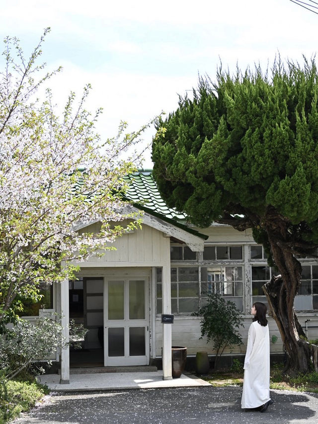 【淡路島】日帰りでも堪能できる！おすすめドライブコースをご紹介🌿