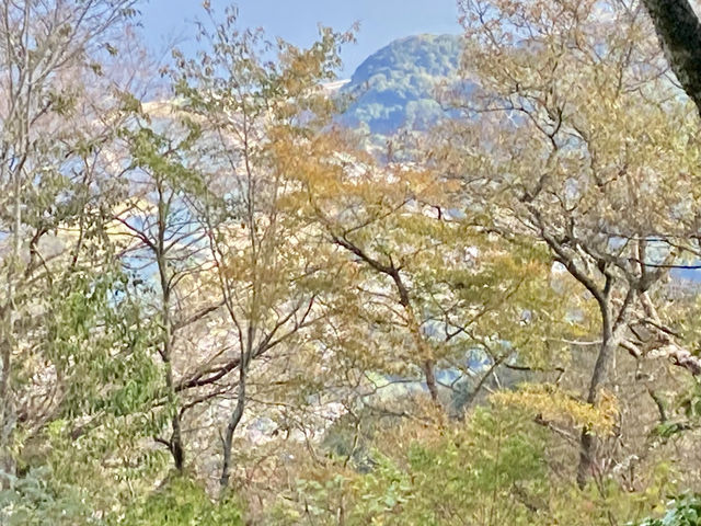 【大分】猿で有名な高崎山の絶景✨