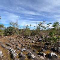 อุทยานแห่งชาติภูหินล่องกล้า ท้าลมหนาว ลานหินปุ่ม