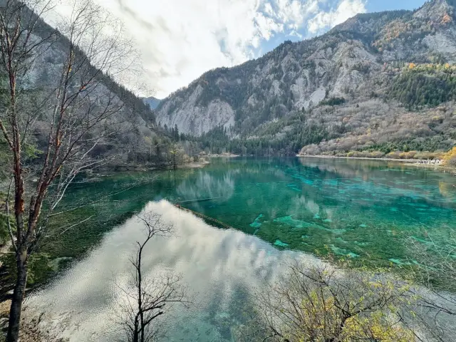 Enchanted by Jiuzhai Valley: A Journey Through Nature’s Wonderland