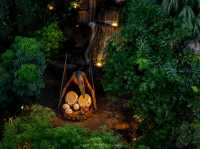 Dino Park Phuket บุกแดนจูราสสิคที่ภูเก็ต 