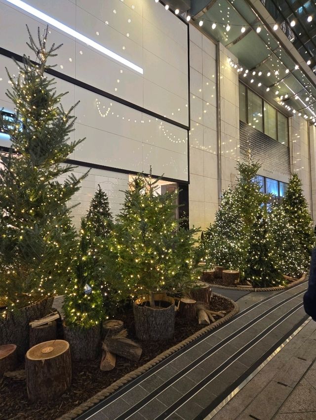 화려한 크리스마스여행 롯데백화점 본점❤️